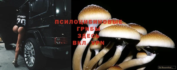 твердый Алзамай