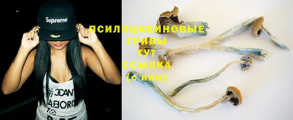 PSILOCYBIN Алексеевка