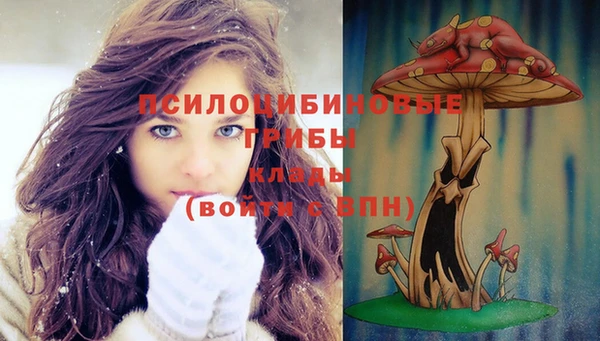 амф Абдулино