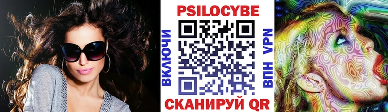 наркошоп  Старая Купавна  Псилоцибиновые грибы Psilocybine cubensis 