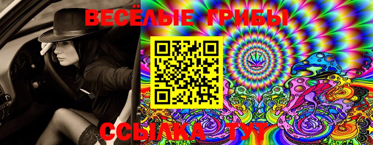 Галлюциногенные грибы GOLDEN TEACHER  Вход с VPN  Старая Купавна 